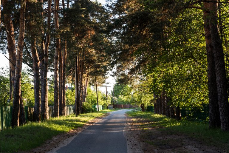 Поселки пенза. Поселок Пашково Пензенской области. Пашково Пензенская область Земетчинский район. Земетчинский район поселок Пашково. Деревня Пашково Пензенской области.